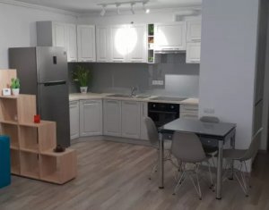 Appartement 2 chambres à louer dans Cluj-napoca, zone Buna Ziua