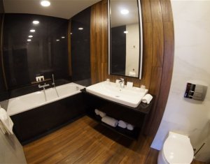 Appartement 2 chambres à louer dans Cluj-napoca, zone Zorilor