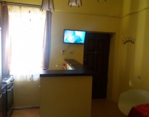Appartement 1 chambres à vendre dans Cluj-napoca, zone Marasti