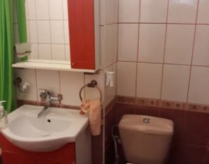 Appartement 2 chambres à louer dans Cluj-napoca, zone Manastur