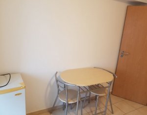 Appartement 1 chambres à louer dans Cluj-napoca, zone Zorilor