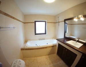 Appartement 2 chambres à louer dans Cluj-napoca, zone Andrei Muresanu