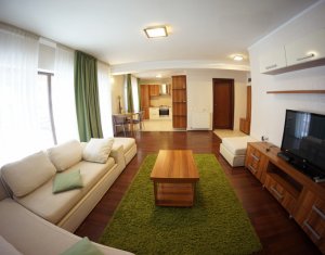 Appartement 2 chambres à louer dans Cluj-napoca, zone Andrei Muresanu