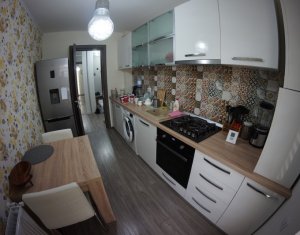 Appartement 2 chambres à louer dans Cluj-napoca, zone Buna Ziua