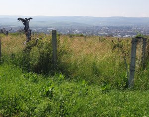 , 600m2 dans Cluj-napoca, zone Iris