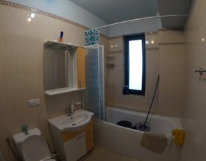 Appartement 2 chambres à louer dans Cluj-napoca, zone Borhanci