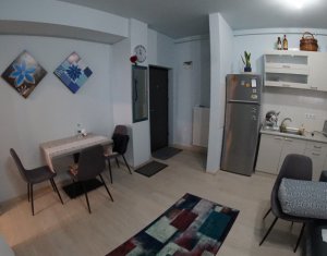 Appartement 2 chambres à louer dans Cluj-napoca, zone Borhanci