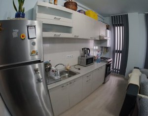 Appartement 2 chambres à louer dans Cluj-napoca, zone Borhanci