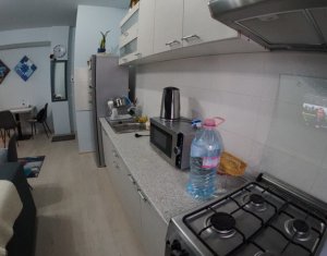 Appartement 2 chambres à louer dans Cluj-napoca, zone Borhanci