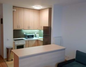 Appartement 2 chambres à louer dans Cluj-napoca, zone Gheorgheni