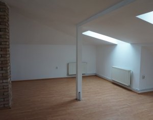 Maison 6 chambres à vendre dans Cluj-napoca, zone Iris
