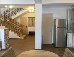 Maison 4 chambres à louer dans Cluj-napoca, zone Europa