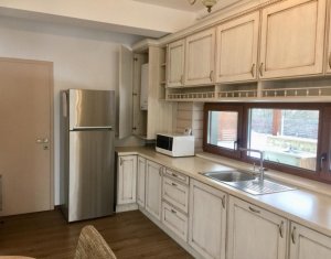 Maison 4 chambres à louer dans Cluj-napoca, zone Europa