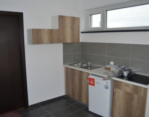 Appartement 1 chambres à louer dans Cluj-napoca, zone Centru