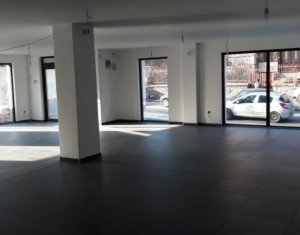 Espace Commercial à louer dans Cluj-napoca, zone Centru