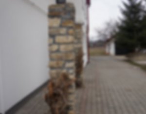 Ház 6 szobák kiadó on Cluj-napoca, Zóna Iris