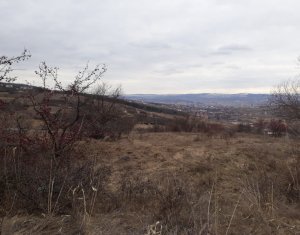 Terrain à vendre dans Cluj-napoca, zone Iris
