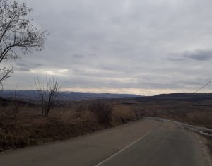 Terrain à vendre dans Cluj-napoca, zone Iris