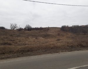 Terrain à vendre dans Cluj-napoca, zone Iris