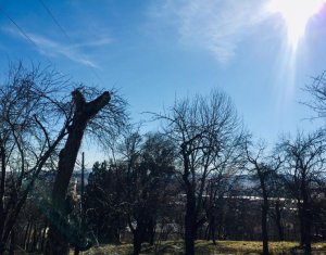 Terrain à vendre dans Cluj-napoca, zone Grigorescu