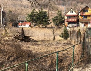 , 1100m2 dans Cluj-napoca, zone Manastur