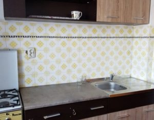 Appartement 2 chambres à louer dans Cluj-napoca, zone Marasti