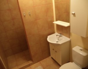 Appartement 2 chambres à louer dans Floresti