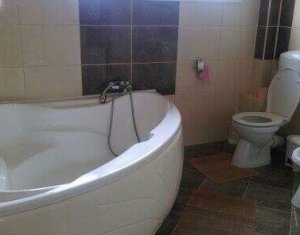 Maison 3 chambres à louer dans Cluj-napoca, zone Someseni