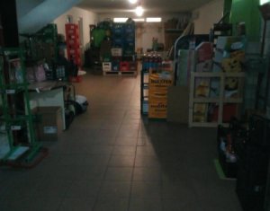 Espace Commercial à louer dans Cluj-napoca, zone Gheorgheni