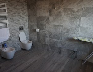 Maison 6 chambres à louer dans Cluj-napoca, zone Someseni