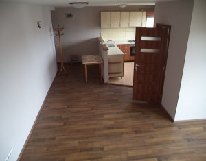Appartement 4 chambres à louer dans Cluj-napoca, zone Borhanci