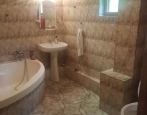 Maison 6 chambres à vendre dans Cluj-napoca, zone Grigorescu