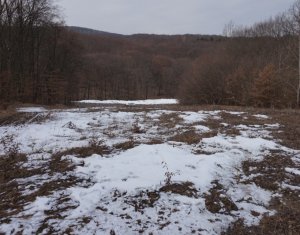 , 5700m2 dans Cluj-napoca, zone Faget
