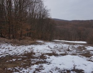 Terrain à vendre dans Cluj-napoca, zone Faget