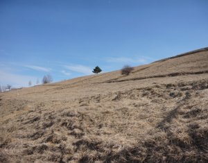 , 1066m2 dans Cluj-napoca, zone Faget