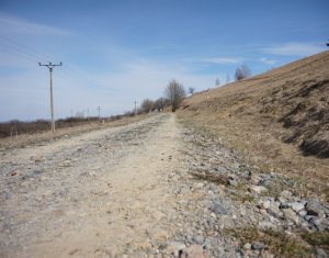 Terrain à vendre dans Cluj-napoca, zone Faget