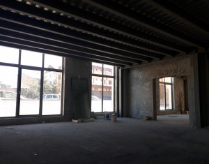Espace Commercial à vendre dans Cluj-napoca, zone Gara