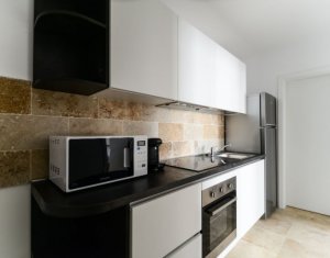 Appartement 2 chambres à louer dans Cluj-napoca, zone Gheorgheni