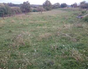 Telek eladó on Cluj-napoca, Zóna Borhanci