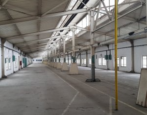 Espace Industriel à louer dans Cluj-napoca, zone Iris