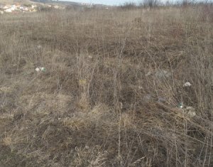 Terrain à vendre dans Cluj-napoca, zone Borhanci