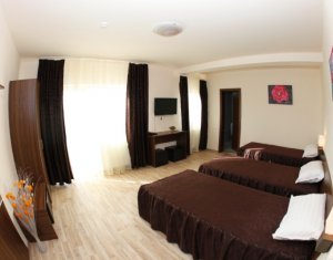 Iroda kiadó on Cluj-napoca, Zóna Gara
