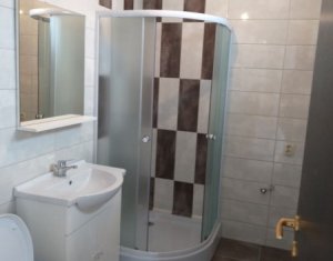 Maison 7 chambres à louer dans Cluj-napoca, zone Marasti