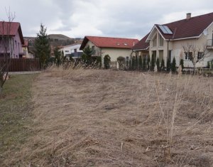 Terrain à vendre dans Cluj-napoca, zone Borhanci