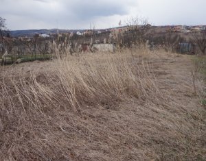 Terrain à vendre dans Cluj-napoca, zone Borhanci