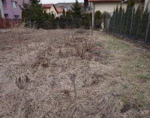Terrain à vendre dans Cluj-napoca, zone Borhanci