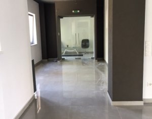 Iroda kiadó on Cluj-napoca, Zóna Zorilor