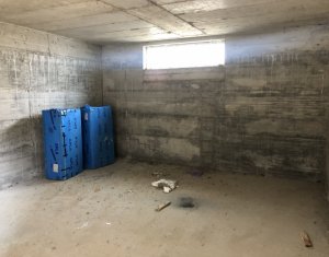 Maison 4 chambres à vendre dans Floresti