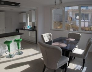 Maison 4 chambres à louer dans Cluj-napoca, zone Borhanci