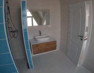 Maison 4 chambres à louer dans Cluj-napoca, zone Borhanci